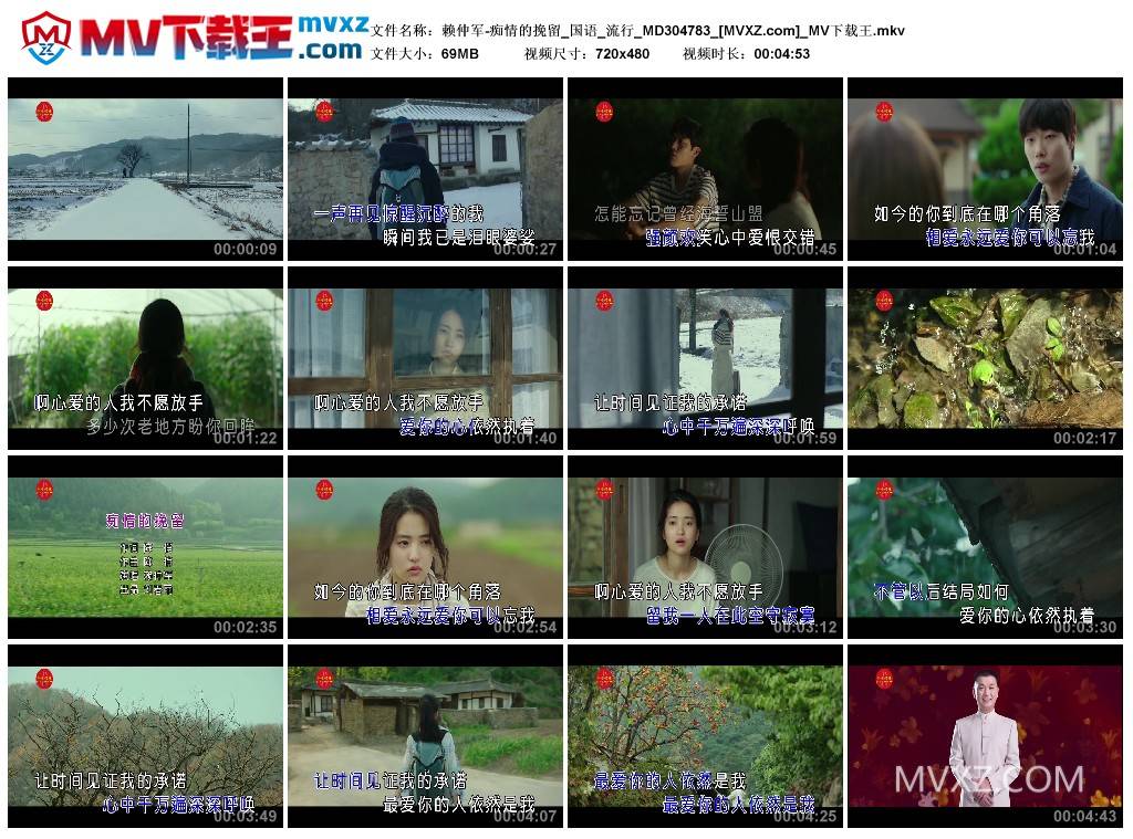 赖仲军-痴情的挽留_国语_流行_MD304783